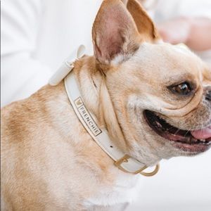 Vegan Leather White Luxe Dog Collar, Bow & Leash